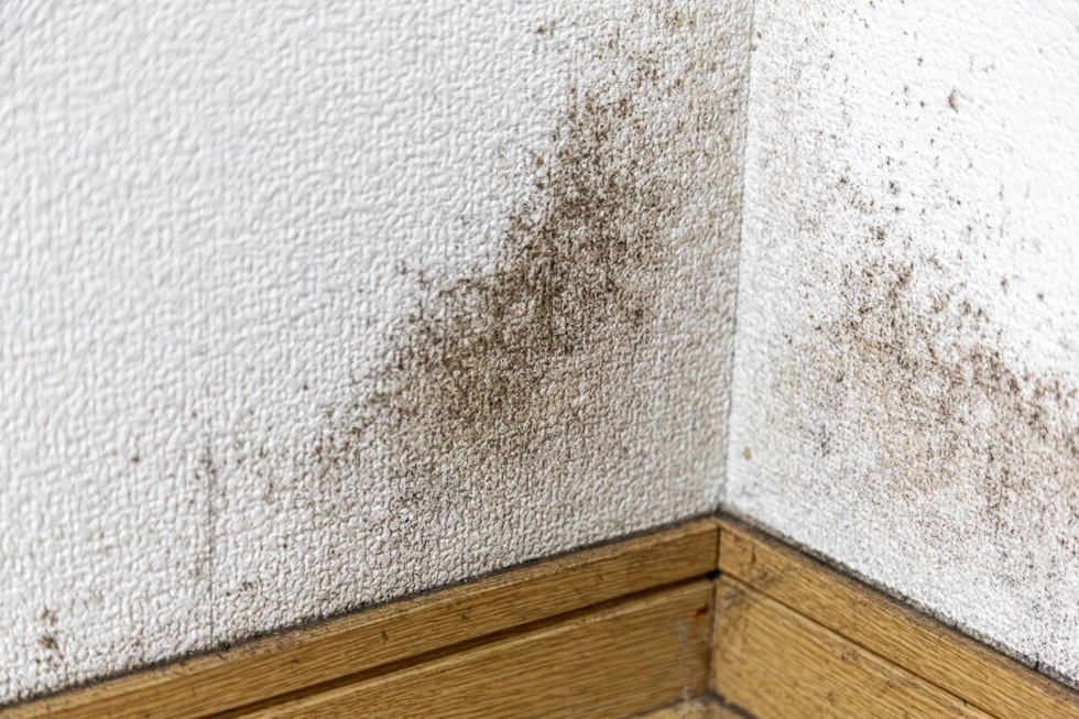 壁にカビ・結露が出て困っている